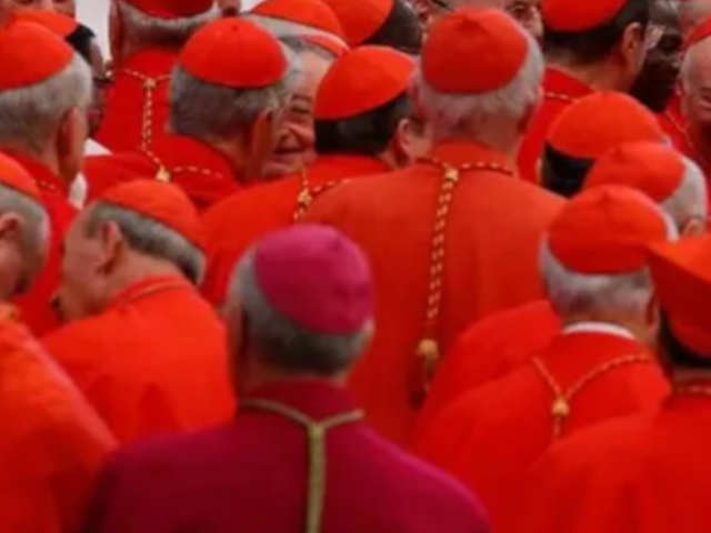 que piensan los cardenales